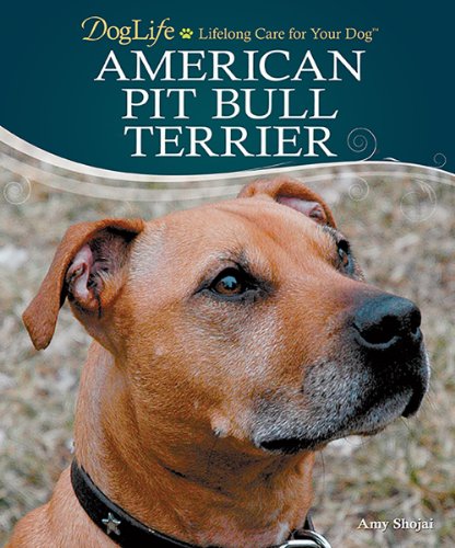 American Pit Bull Terrier cover