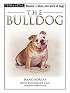The Bulldog