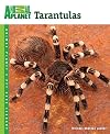 Tarantulas