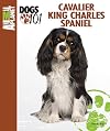 Cavalier King Charles Spaniel (Animal Planet Dogs 101)