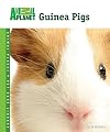 Guinea Pigs