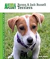 Parson & Jack Russell Terriers