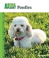 Poodles