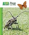 Bugs as Pets