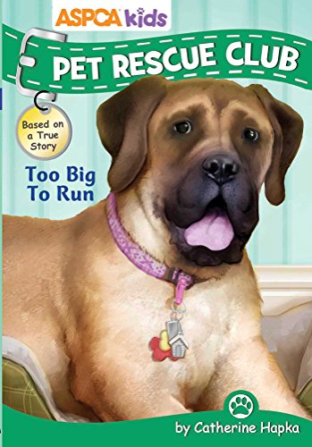 Too Big to Run book cover