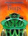 Bugs (Usborne Discovery Internet-linked)