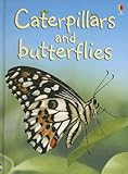 Caterpillars and butterflies