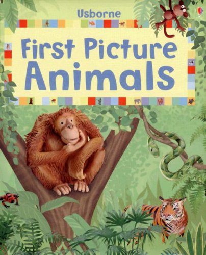 Cover of First Picture Animals (First Picture Board Books)
