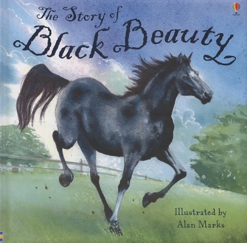 The Story Of Black Beauty book cover