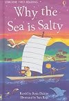 Why is the Sea Salty?