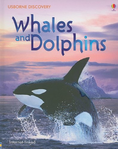 Whales and Dolphins book cover