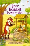 Brer Rabbit Down the Well (Usborne First Reading)