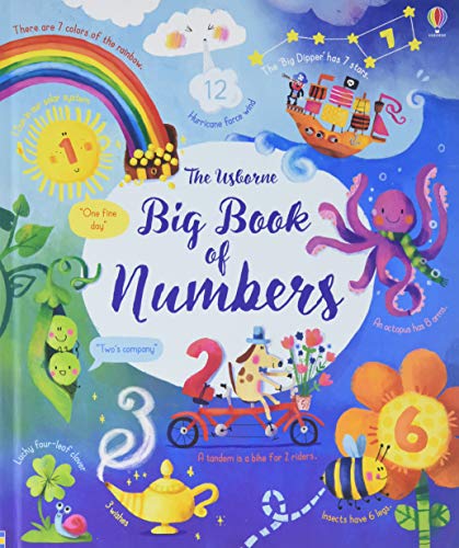 Big Book of Numbers book cover