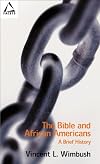 Bible and African Americans (Facets)
