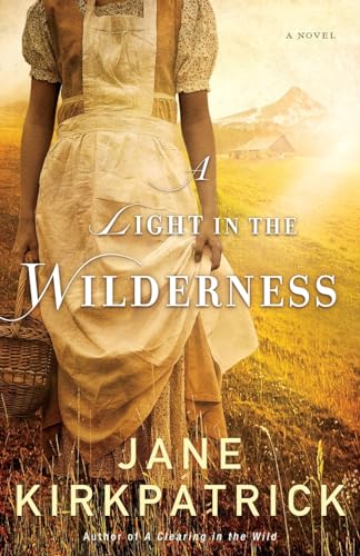 A Light in the Wilderness book cover