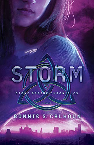 Storm book cover