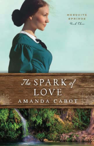The Spark of Love book cover