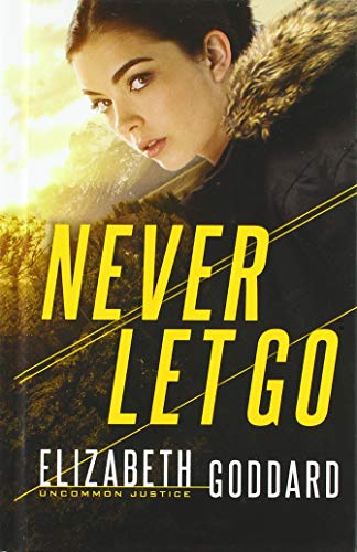 Never Let Go book cover