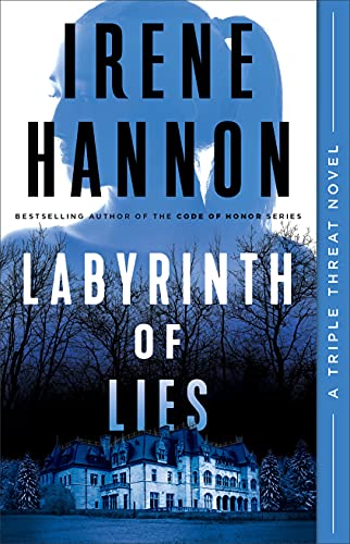 Labyrinth of Lies book cover