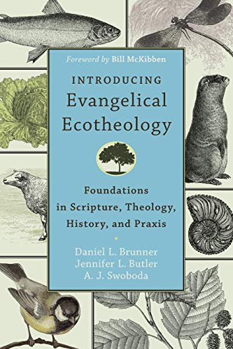 amazon purchase link