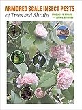 Armored Scale Insect Pests Of Trees And Shrubs Hemiptera Diaspididae Comstock Book