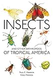 Insects And Other Arthropods Of Tropical America