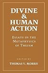Divine and Human Action: Essays in the Metaphysics of Theism