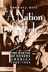 A Nation of Steel: The Making of Modern America, 1865-1925 (Johns Hopkins Studies in the History of Technology)
