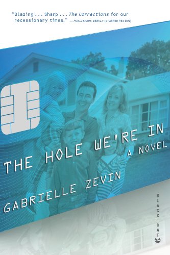 The Hole We're in book cover