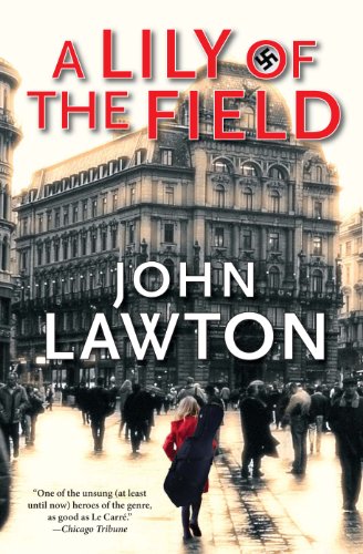 A Lily of the Field book cover