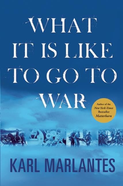 What It is Like to Go to War book cover