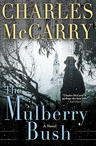The Mulberry Bush book cover