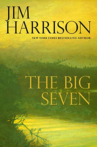 The Big Seven book cover