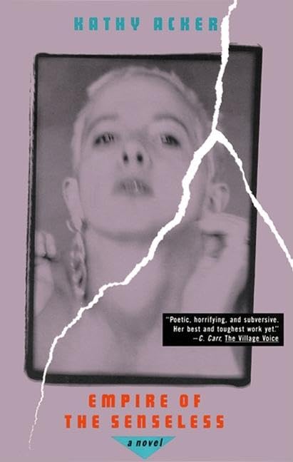 Empire of the Senseless book cover