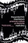 The Pyrotechnic Insanitarium: American Culture on the Brink