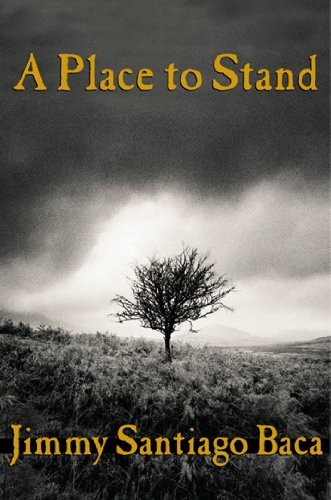A Place to Stand book cover