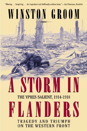 A Storm in Flanders book cover
