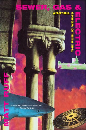 Sewer, Gas and Electric book cover