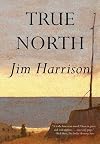 True North