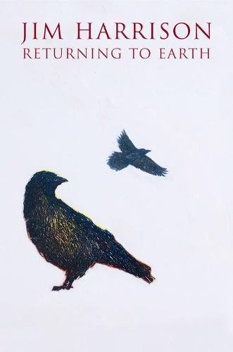 Returning to Earth book cover