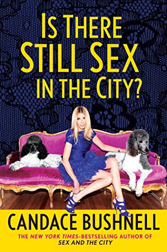 Is There Still Sex in the City? cover