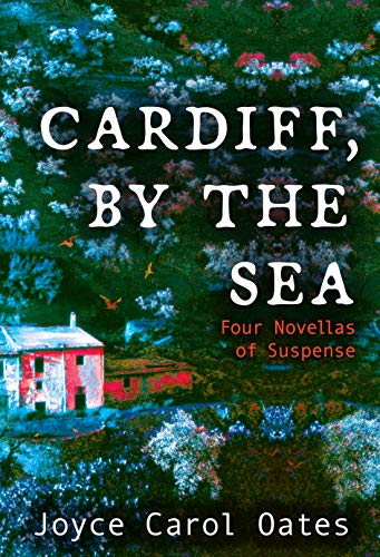 Cardiff, by the Sea book cover