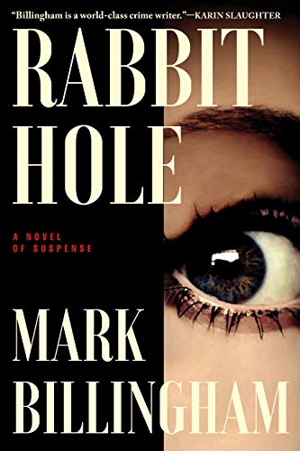 Rabbit Hole book cover