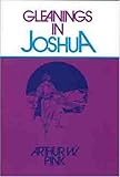 Gleanings In Joshua