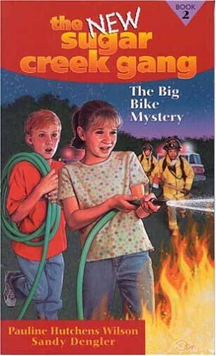The Big Bike Mystery book cover
