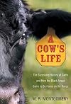 A Cow's Life: The Surprising History of Cattle and How the Black Angus Came to Be Home on the Range