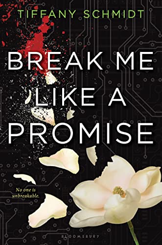 Break Me Like a Promise book cover