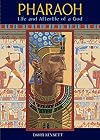 Pharaoh : life and afterlife of a god