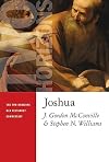 Joshua (The Two Horizons Old Testament Commentary)