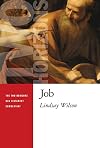 Job (Two Horizons Old Testament Commentary (THOTC))